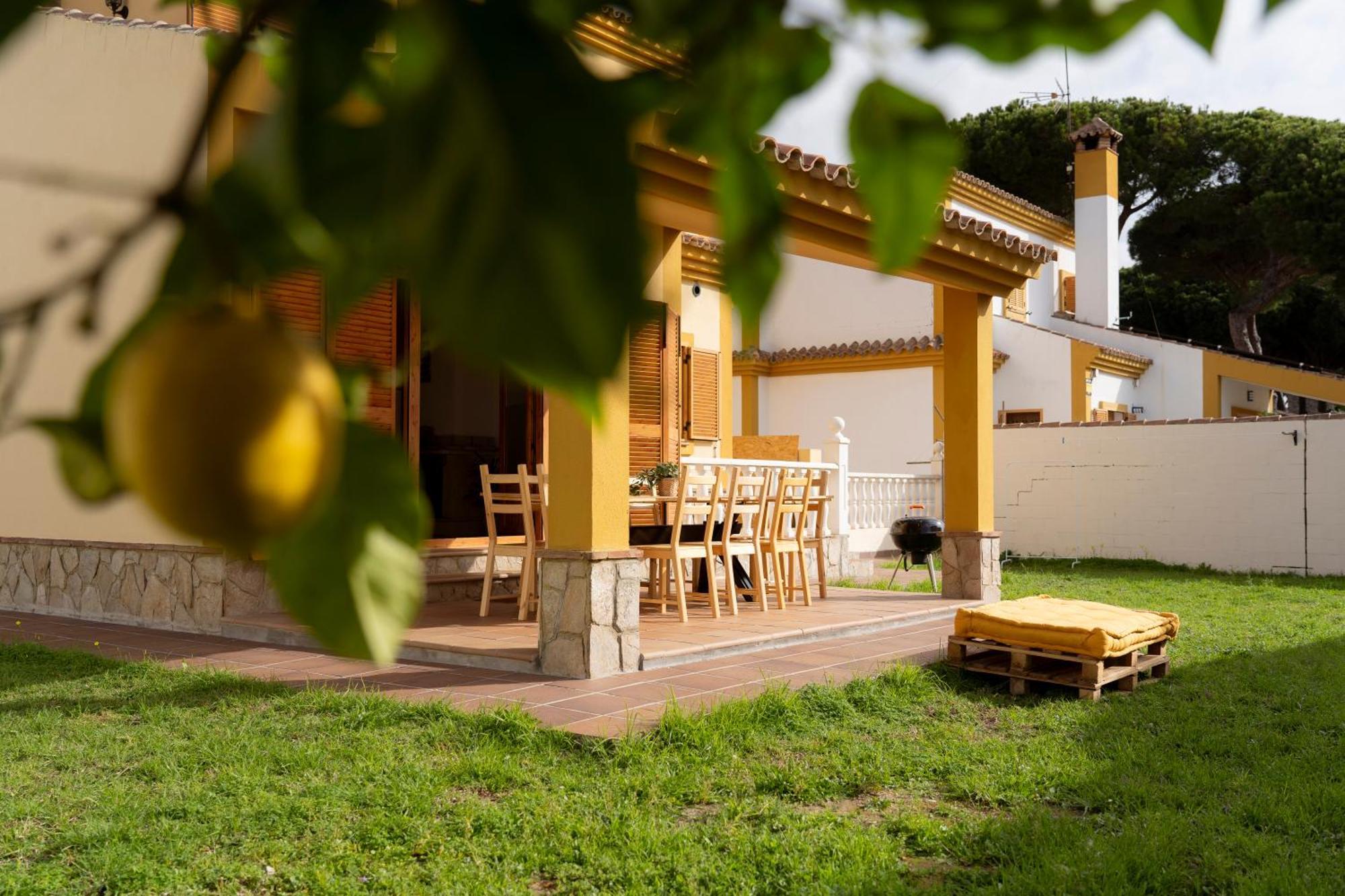 Namawa Surfhouse Vandrerhjem Chiclana de la Frontera Eksteriør bilde